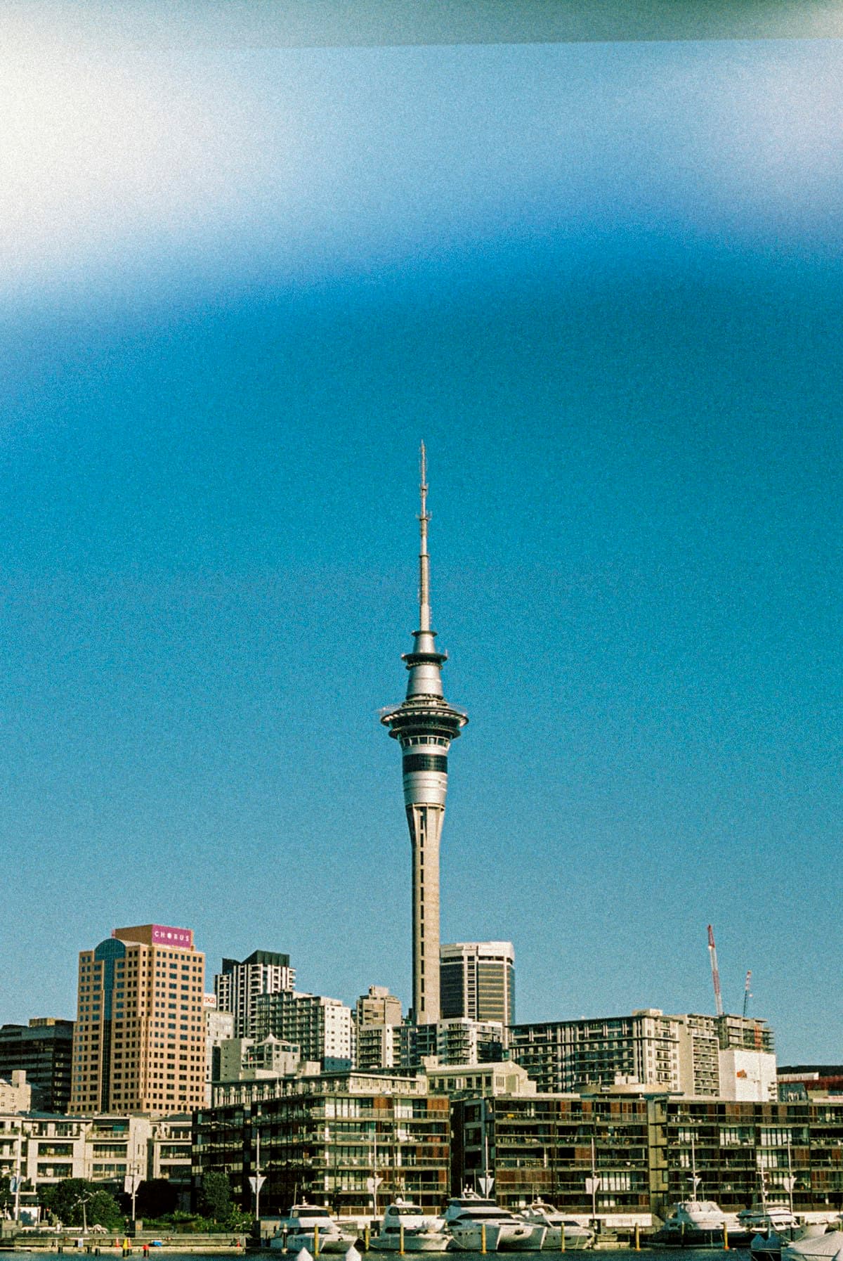 One day in Auckland, New Zealand — 24-hour itinerary