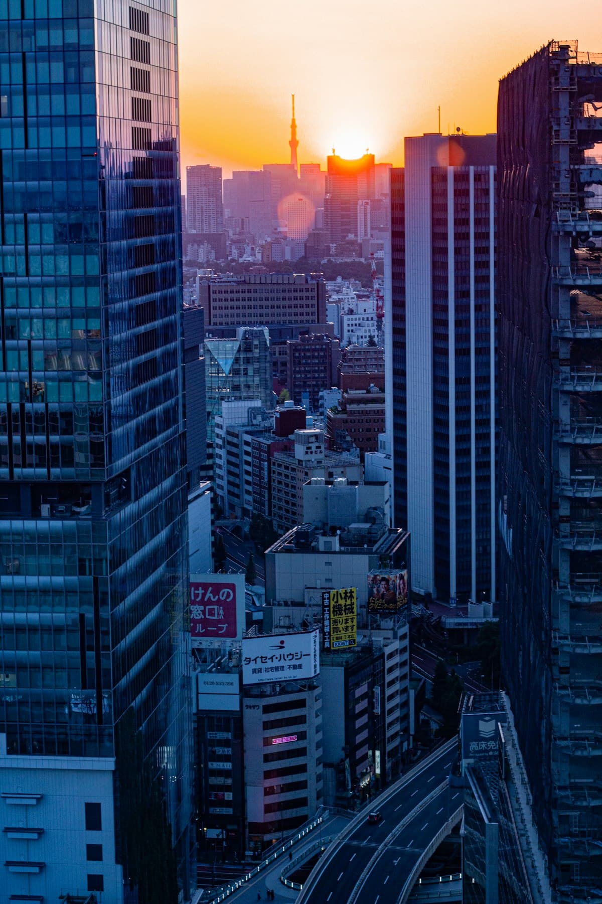 One day in Tokyo, Japan — 24-hour itinerary