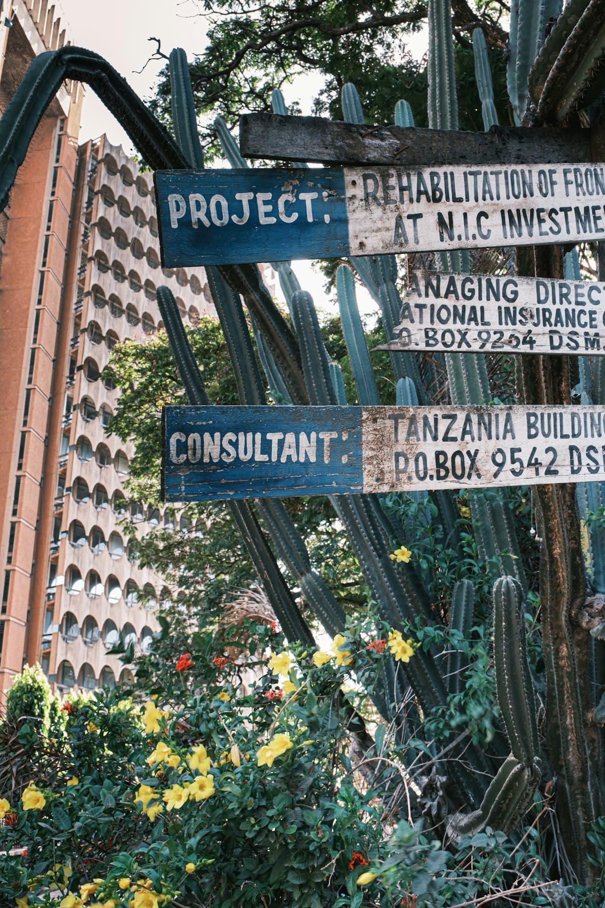 Charming neighborhood street in Zanzibar, Tanzania — where to stay guide