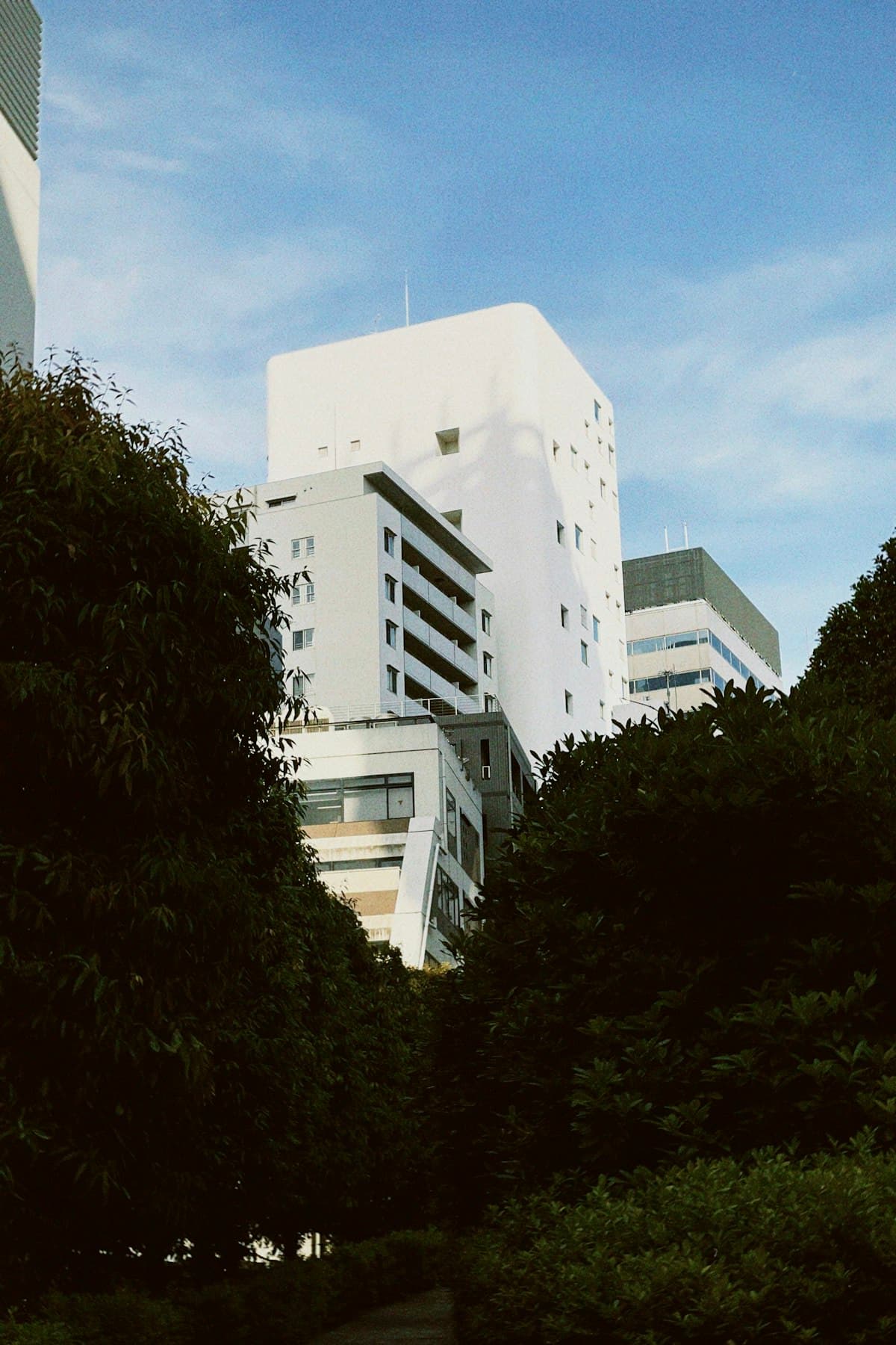 Charming neighborhood street in Tokyo, Japan — where to stay guide