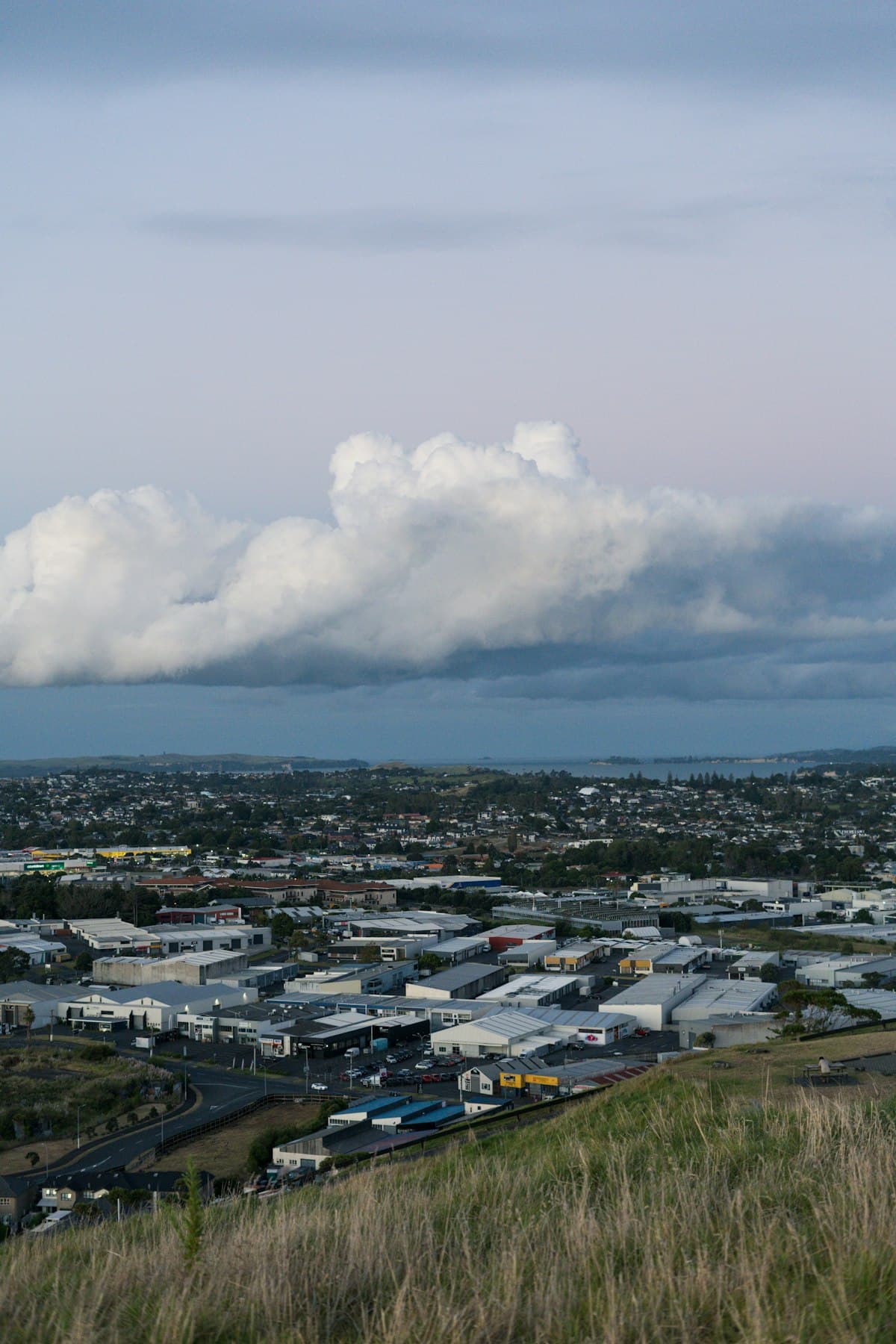 Auckland, New Zealand seasonal weather — month by month guide