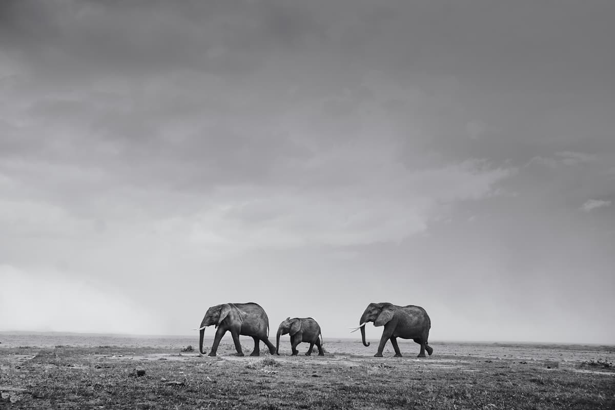 One day in Nairobi, Kenya — 24-hour itinerary