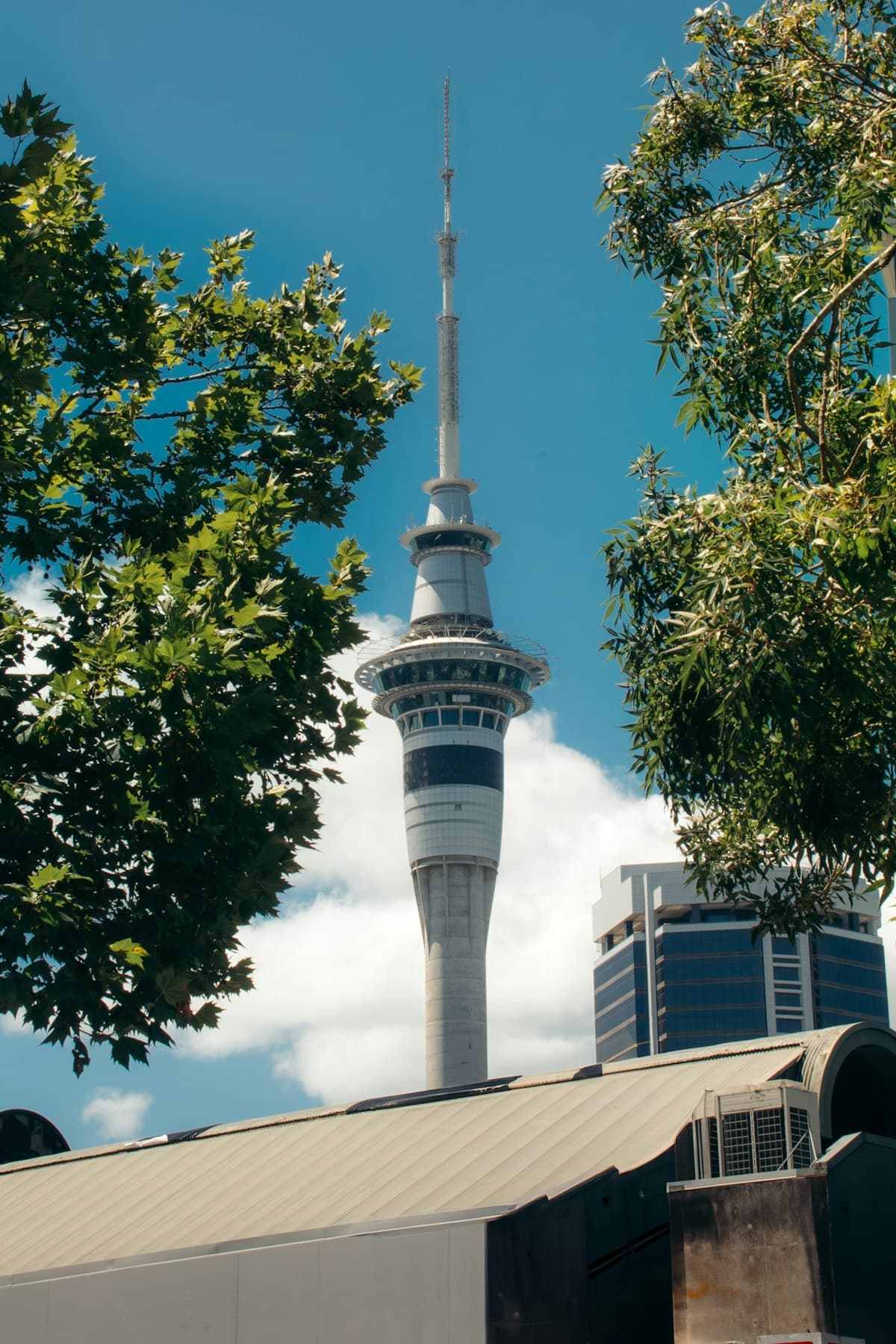 Romantic sunset scene in Auckland, New Zealand — honeymoon guide