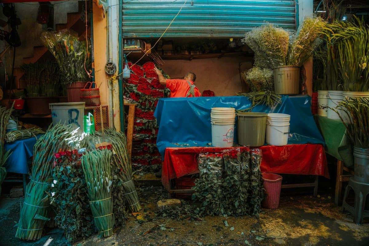 Mexico City, Mexico — 3-day weekend trip itinerary