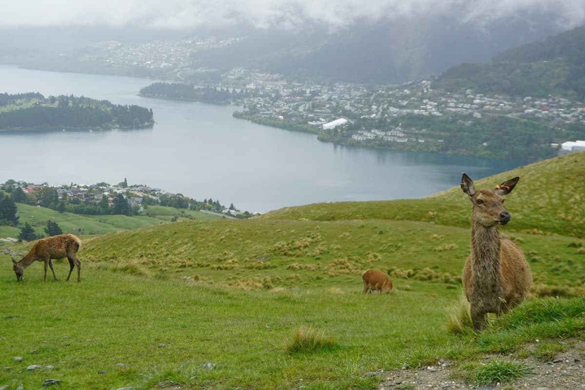 Packing essentials for a trip to Queenstown, New Zealand