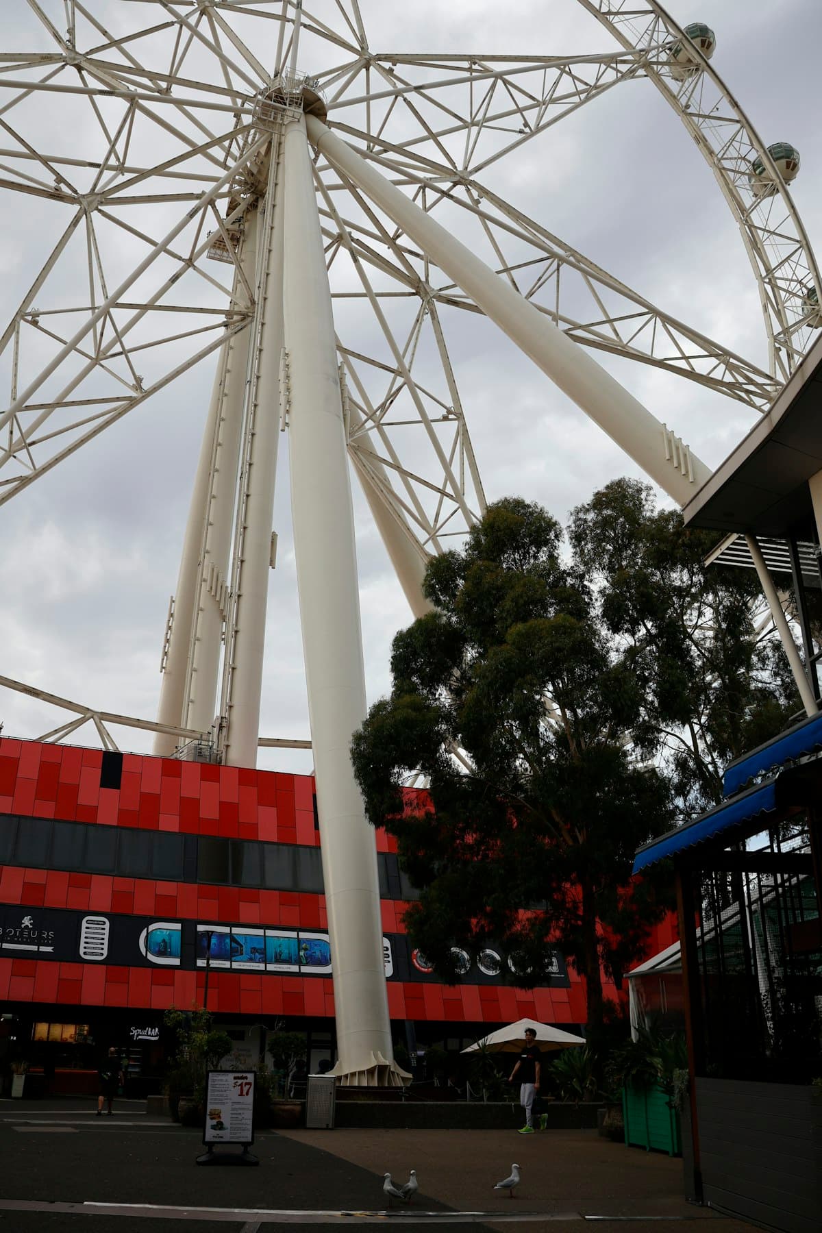 Solo traveler exploring Melbourne, Australia safely