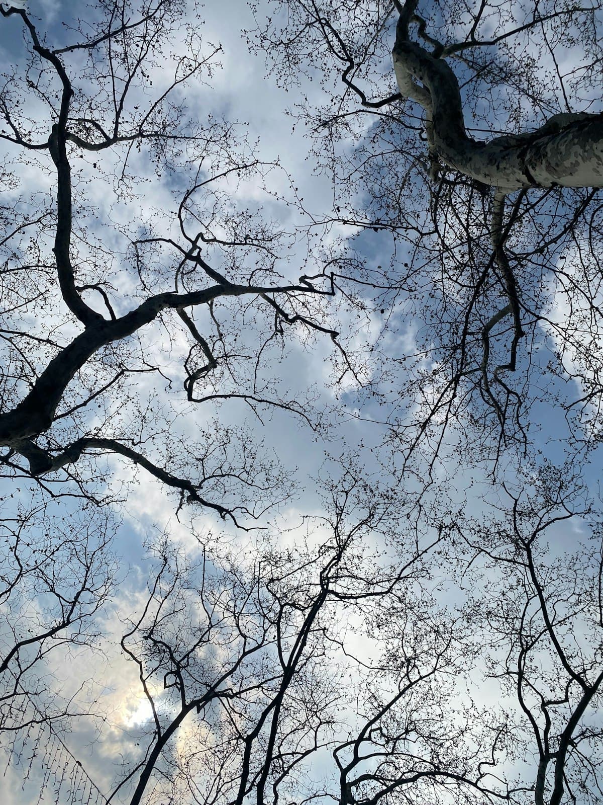 Istanbul, Turkey seasonal weather — month by month guide