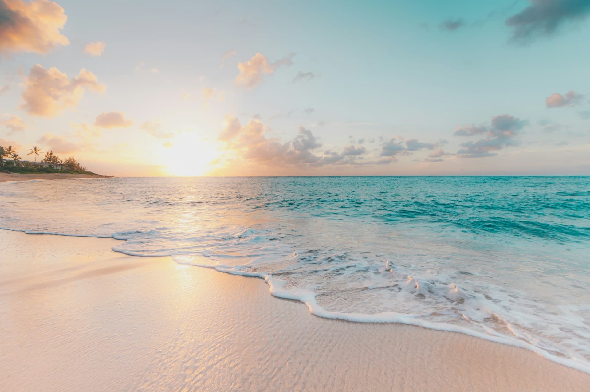 Family walking on a sandy beach at sunset